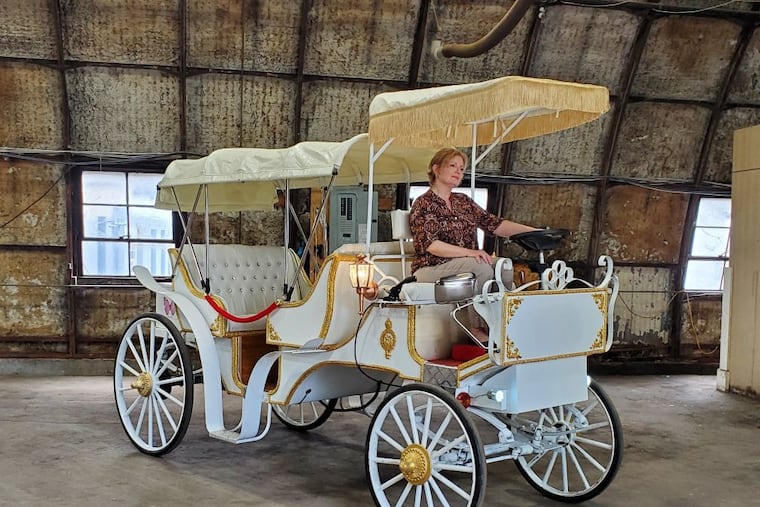 Janet White, director of Carriage Horse Freedom, is behind the wheel of the electric horseless carriage she purchased and championed to replace horse-drawn carriages.