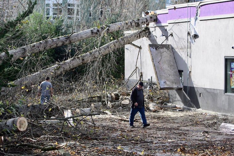 A crew cuts a tree that fell on a Taco Bell restaurant in Issaquah, Wash., after a "bomb cyclone" storm brought high winds to the area in November 2024.
