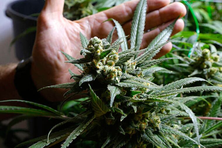 We have the answer to our school-funding problems in the palm of our hands: Legalize marijuana.