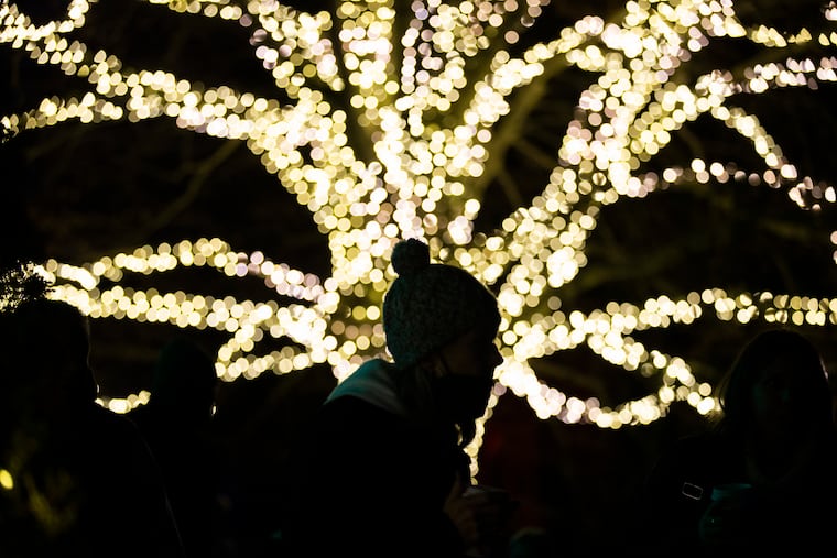 A Longwood Gardens visitor passes by a tree wrapped in lights in this December 2021 file photo.