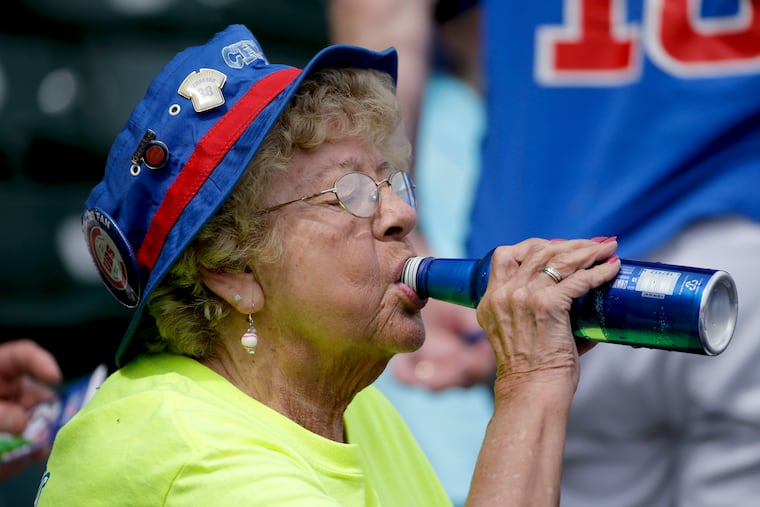 A Chicago Cubs fans drinks a beer before a spring training game.