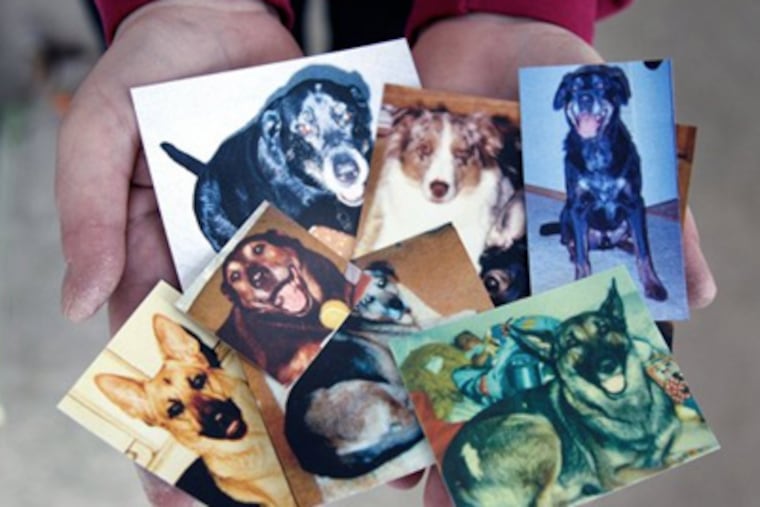 Photographs held by Joann Cencula of her beloved dogs that have passed away, at her home in Wickliffe, Ohio. (AP Photo/Amy Sancetta)