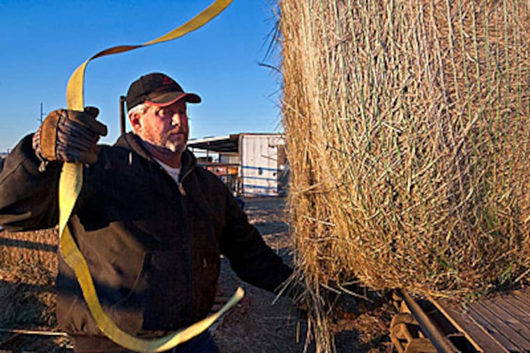 Rancher Harold Gage unstraps a bale of hay before pushing it off of his trailer while making a delivery in December near Rozet, Wyo. Since the 2012 drought, Gage has realized he barely had enough to feed his own horses.