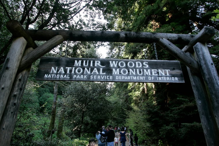 Visitors walk along a pathway near the entrance to the Muir Woods National Monument, named after John Muir, in Marin County, Calif., in this 2008 photo.