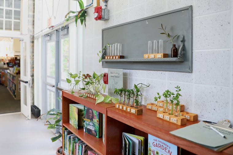 The Free Library is opening its first plant cutting swap station on April 24 at the Chestnut Hill Library branch.