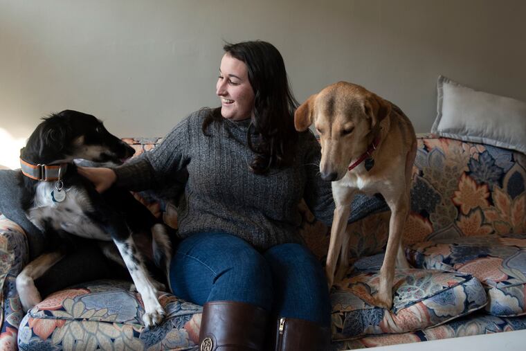 Brielle Rozmus with her dog Eutaw, left, and foster dog, Zina. The Saluki mixes came from Kuwait via Wings of Love Kuwait, an organization that rescues animals there. They are photographed Feb. 21, 2020, at her home in Baltimore, Maryland.