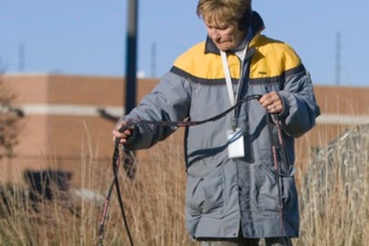 A Humane Society volunteer in Omaha walks two schnauzers who were dropped off anonymously by someone who said he or she could no longer afford to keep them.