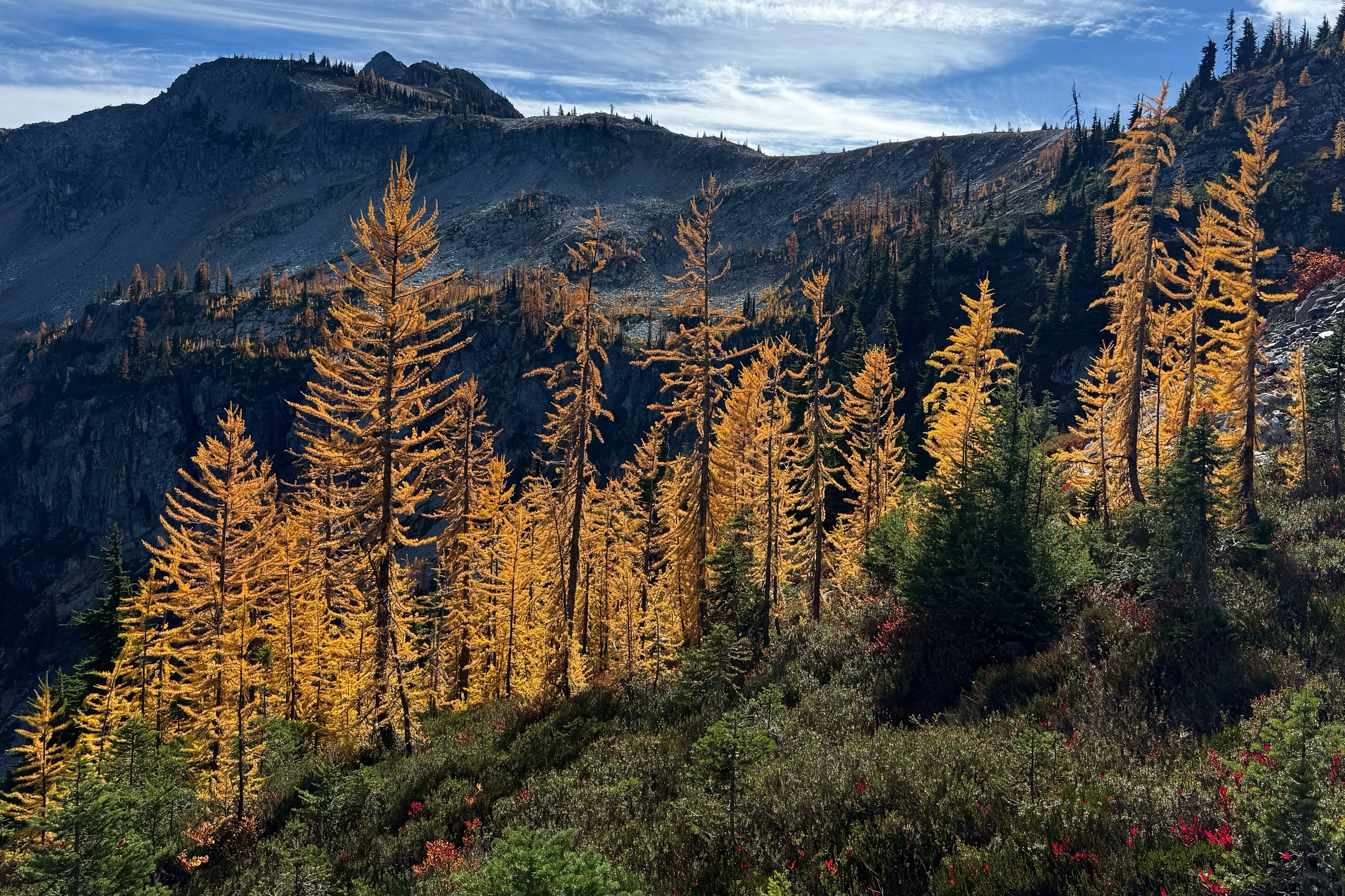Agriculture secretary says agency is “full-bore ahead” on Forest Service reorganization