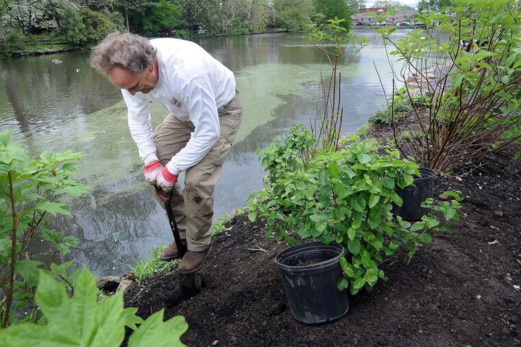 Go cash in on shrub and tree deals now.