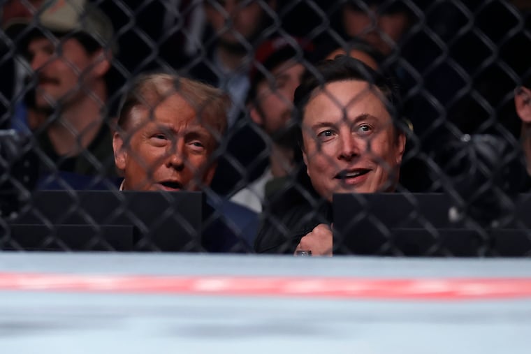 President-elect Donald Trump looks on with Elon Musk at a UFC 309 mixed martial arts flyweight title bout Saturday in New York.