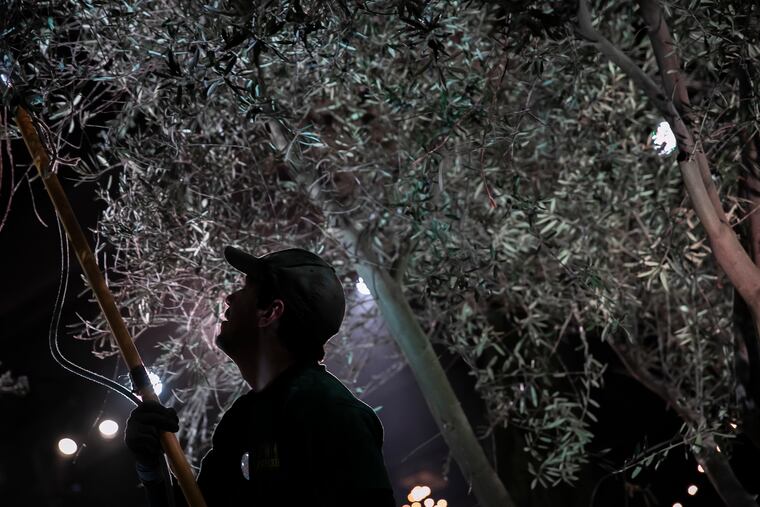 A crew member is silhouetted while he works on the main exhibit during preparation for the 2020 Philadelphia Flower Show at the Pennsylvania Convention Center in Philadelphia on Thursday, Feb. 27, 2020. The show will open to the public on Saturday, Feb. 29 and run until Sunday, March 8.