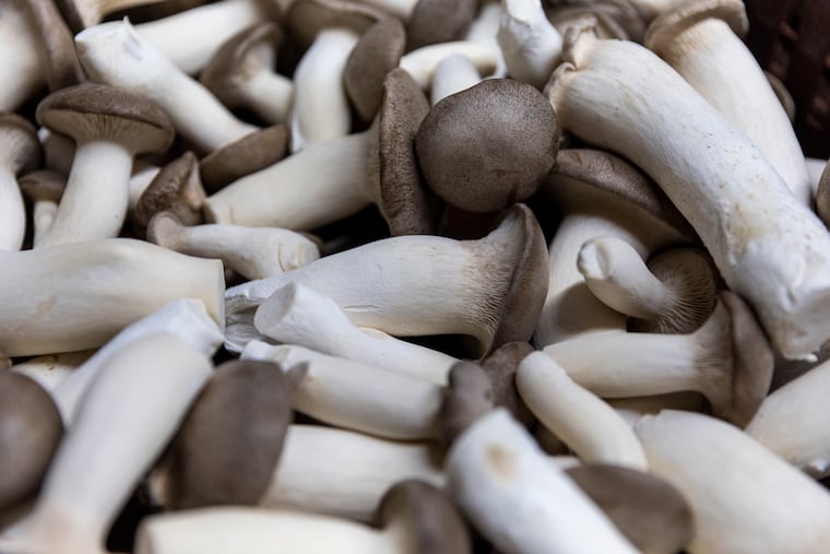 Fresh Royal Crown Mushrooms at The Woodlands at Phillips Mushroom Farm, in Kennett Square.