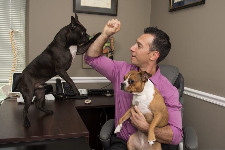 Andrew Medvedovsky, a neurologist and pain-management doctor, in his cannabis clinic in Turnersville with his two Boston bulldogs, Rico (left) and Samba.