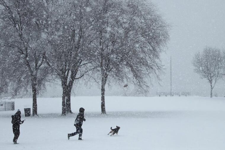Lower Merion officials are telling residents to prepare for September's World Meeting of Families as if it were a snowstorm. Here, Matt and Kellyann Kilcline of Fishtown play catch with their dog, Ernie, at Penn Treaty Park on Feb. 3, 2014. ( DAVID MAIALETTI / File )