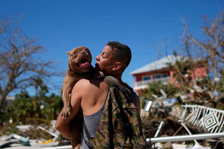Eduardo Tocuya carries a dog he recovered in hopes of reuniting it with its owners, two days after the passage of Hurricane Ian, in Fort Myers Beach, Fla., Friday, Sept. 30, 2022.