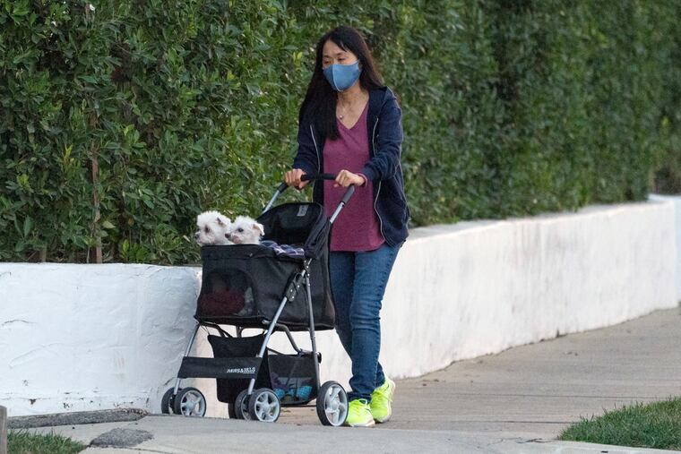 A woman wears a mask as she takes two small dogs for a stroll in Los Angeles.