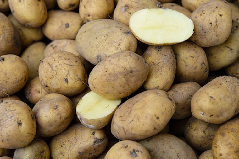 Born in the dirt, the white potato has been elevated to the main dish in a debate that's blurring the lines between politics and science.
