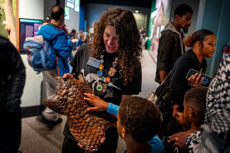 Science educator Jake Cook lets visitors feel the skin of a pangolin — a scaly anteater — at the Academy of Natural Sciences of Drexel University on Sunday, Sept. 27, 2026, on the last day that the museum is scheduled to be open.
