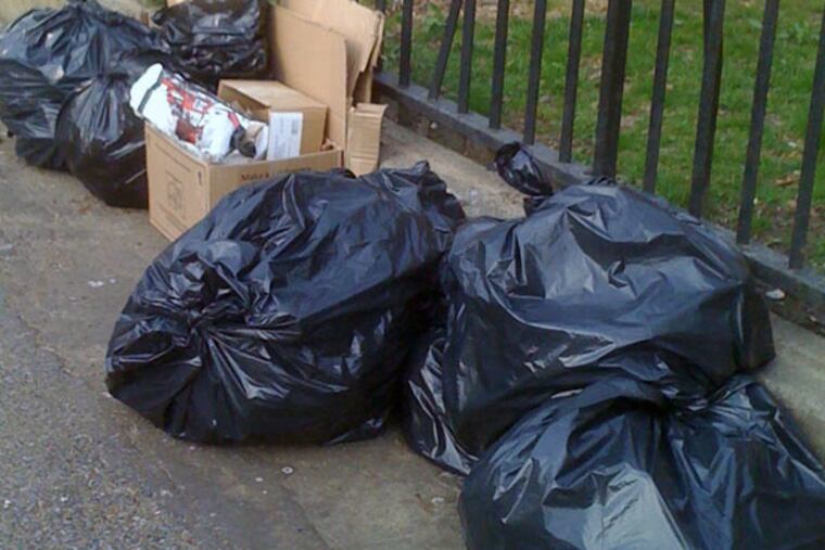 Councilwoman Blondell Reynolds Brown wants more trash cans and less litter.