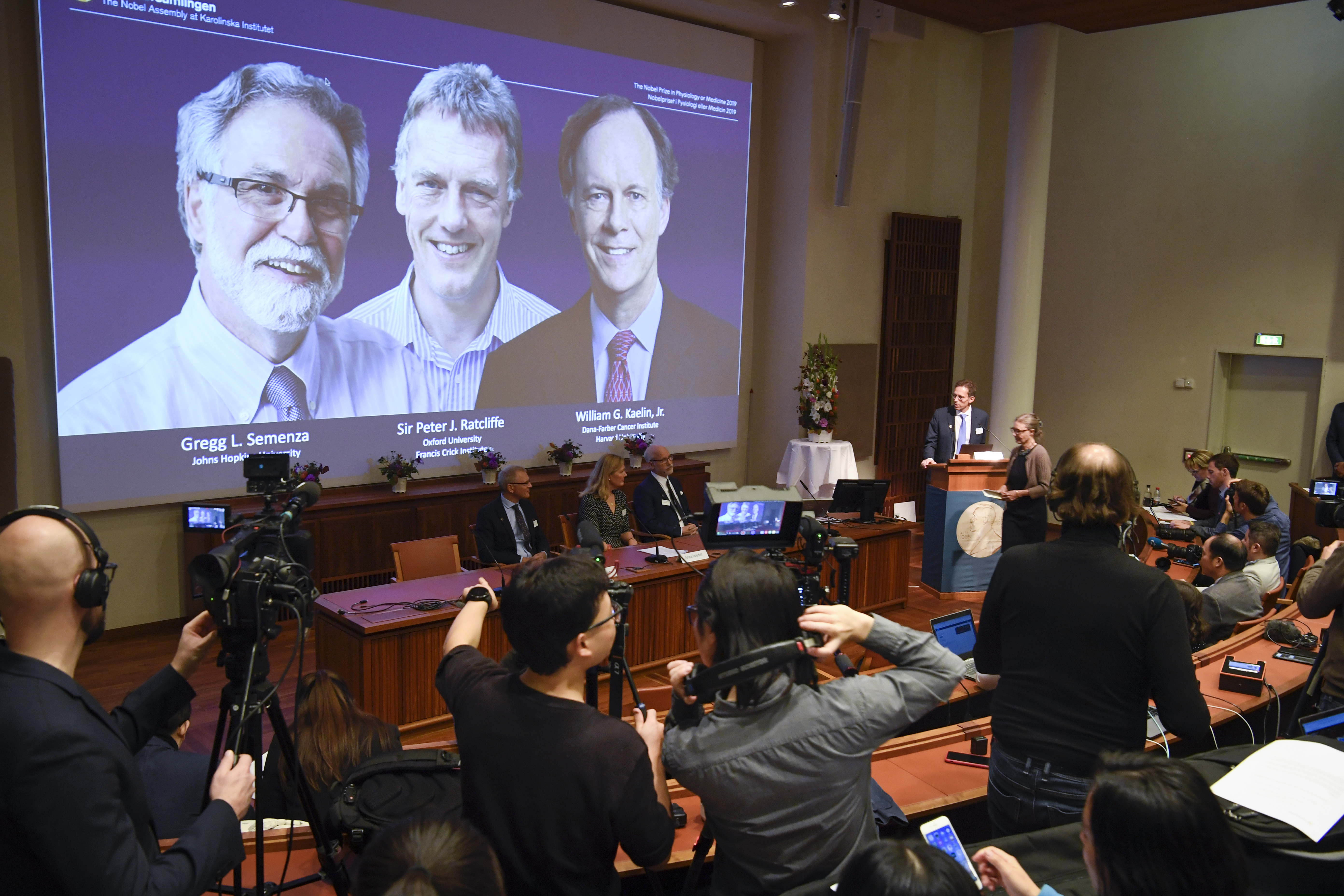 Thomas Perlmann (far right), Secretary-General of the Nobel Committee, announces the 2019 Nobel laureates in Physiology or Medicine during a news conference in Stockholm, Sweden, on Monday. The prize has been awarded to scientists (from left on screen) Gregg L. Semenza, Peter J. Ratcliffe, and William G. Kaelin Jr.