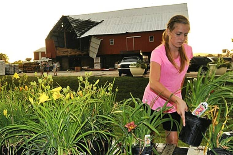 The roof and side of a barn at Whitecombs Farm Market & Greenhouse in York was blown off and plants knocked over during Tuesday's storm. Claudia Gross, 13, puts plants back in place. (AP/John A. Pavoncello/York Dispatch)