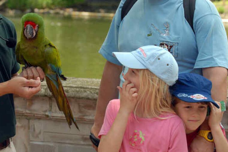 Katie Trojak, 8, with her brother, Michael, 6, gets a bird's-eye view of Bella the red-fronted macaw at the McNeil Avian Center at the Philadelphia Zoo. Yesterday's opening capped a birdhouse-reinvention effort begun in 1998. The 11,000-square-foot exhibit hall is home to 120 birds.