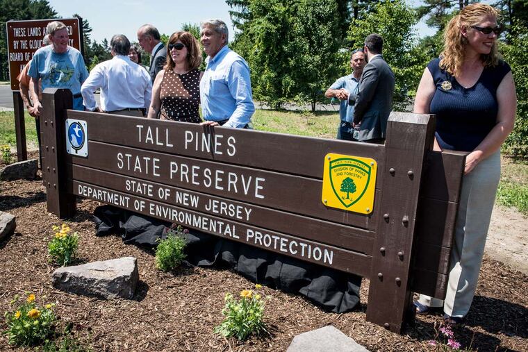 Tall Pines State Preserve occupies the site of the old Tall Pines Golf Course in Deptford and Mantua.