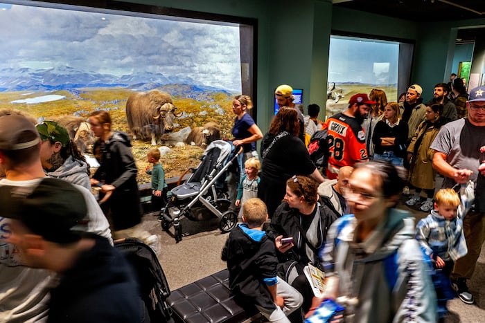 Threads Year What's next for the Academy of Natural Sciences Museum? The city ...