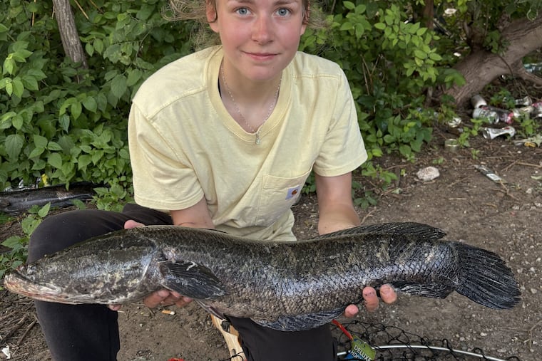 Jessica Day holds a snakehead fish she caught in June, 2025 in Philadelphia just below the Fairmount Dam.