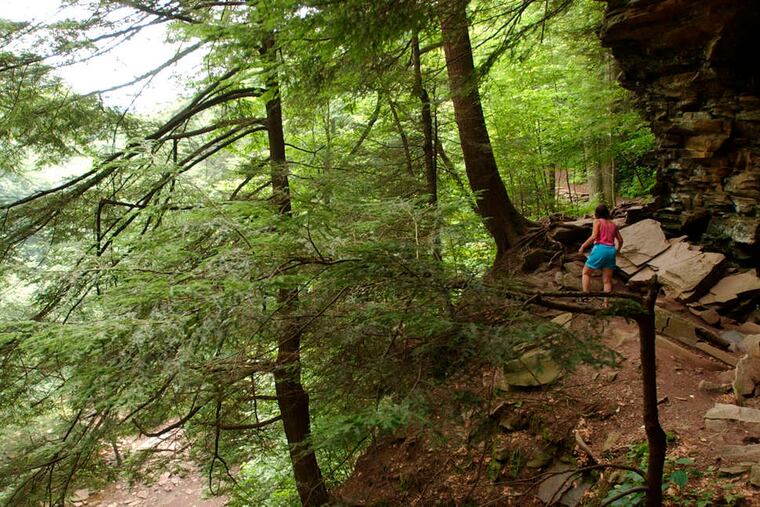 Visitors to Ricketts Glen State Park, noted for both waterfalls and miles of trails -- some treacherous -- face a new threat with COVID-19: Getting turned away because of overcrowding.