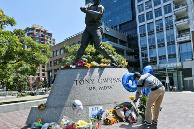 (AP Photo/Lenny Ignelzi)