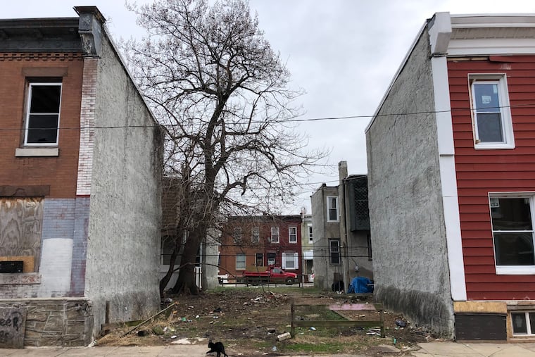 A black cat walks across a vacant lot in the 2700 block of Judson Street in the Swampoodle section of North Philadelphia on Wednesday. A dead infant was found there on New Year's Eve, a neighbor said.