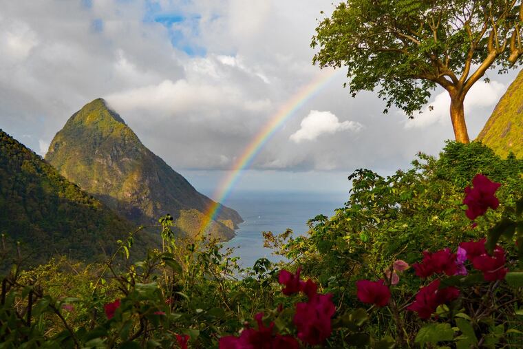 St. Lucia in a 2018 file image. A cruise ship reportedly owned by the Church of Scientology has been quarantined in Saint Lucia after a positive measles test on board, a public health official confirmed.