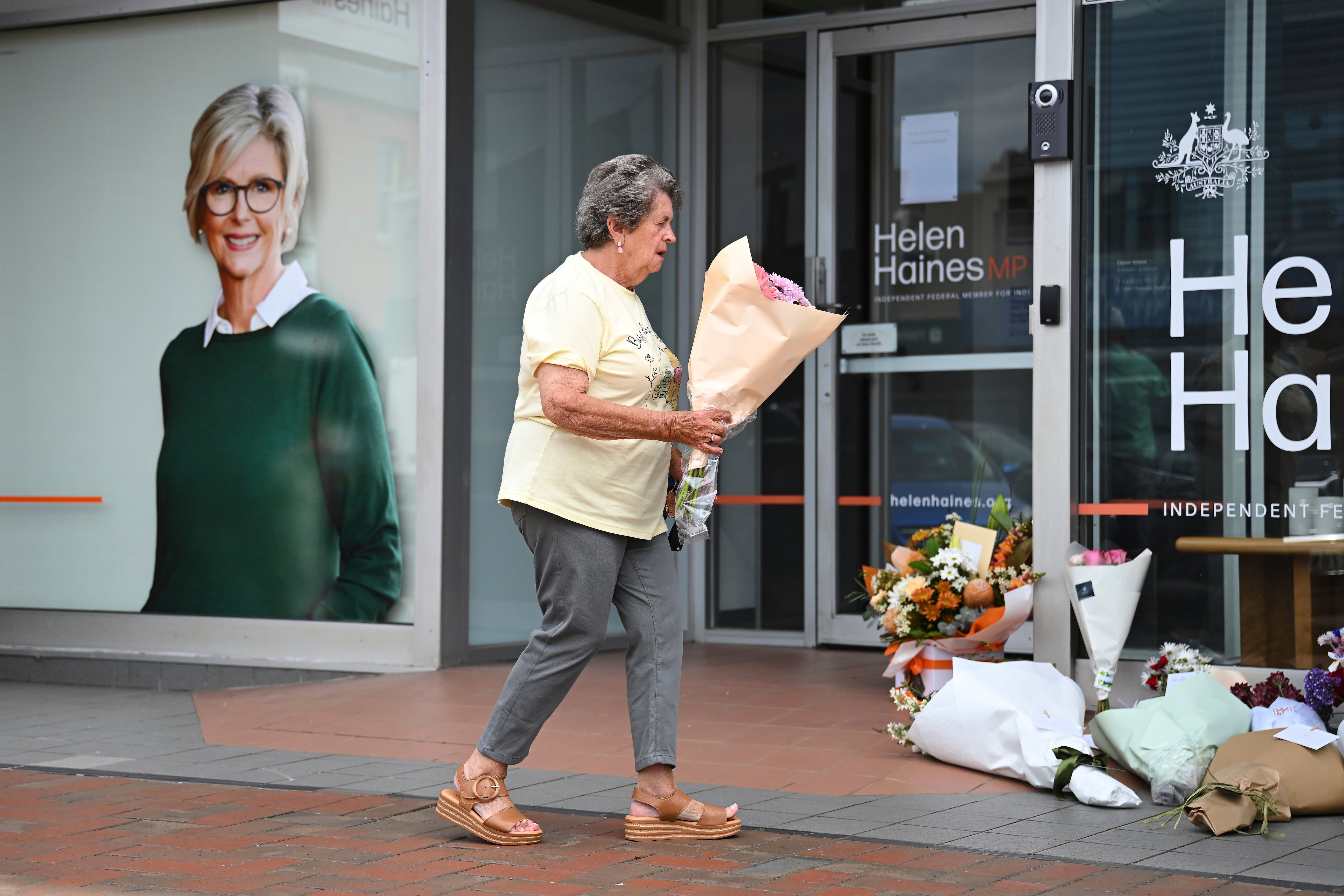 An Australian lawmaker is critical but stable after being apparently deliberately hit by a car