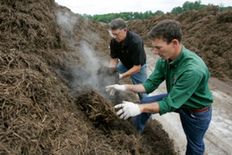 Checking compost for mushroom growers is Glenn G. Cote (left) of Laurel Valley Farms and Jake Chalfin of Laurel Valley Soils. Used compost is then returned for processing into topsoil.