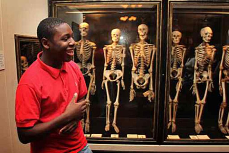 Kenneth Bourne surveys the skeletons at the Mutter Museum. (Lawrence Kesterson/Staff)