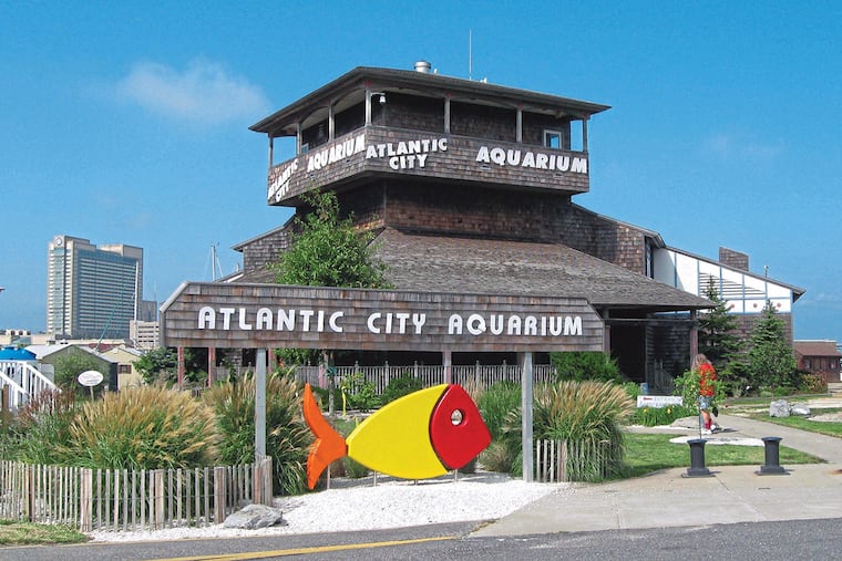 The Atlantic City Aquarium has been closed since the COVID-19 pandemic. Officials hope to reopen in December.