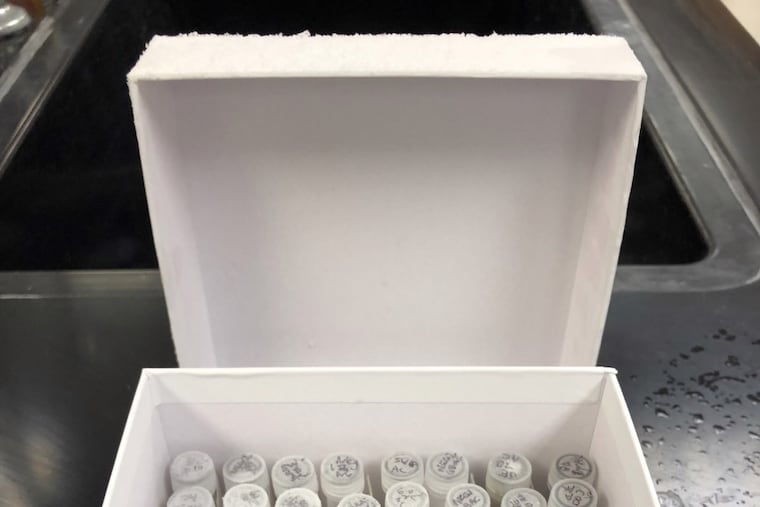 Frozen wastewater samples from the omicron surge in winter 2022 stored at Temple University to analyze the presence of COVID-19, because the city didn't have a wastewater testing program in place at the time.