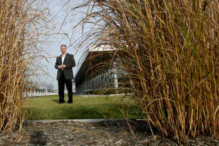 The rooftop garden of SAP America's building includes visually stunning plant life that also helps cool the floor below. Project manager Brian Barrett stands among some of the grasses.