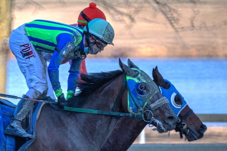 Thoroughbreds compete during a race at the Parx horse track in Bensalem, Pa., in March 2021.