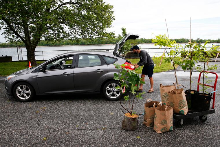 Alex Ruthe prepares his car to load trees and bags of mulch in the back of his car during a tree give away at the Frankford Boat Launch in the Bridesburg neighborhood on Saturday, May 23, 2020. TreePhilly works with community groups across Philadelphia to distribute free yard trees through their Community Yard Tree Giveaway Program. Due to social distancing rules, tree recipients drive-thru picking-up a tree and a bag of mulch.