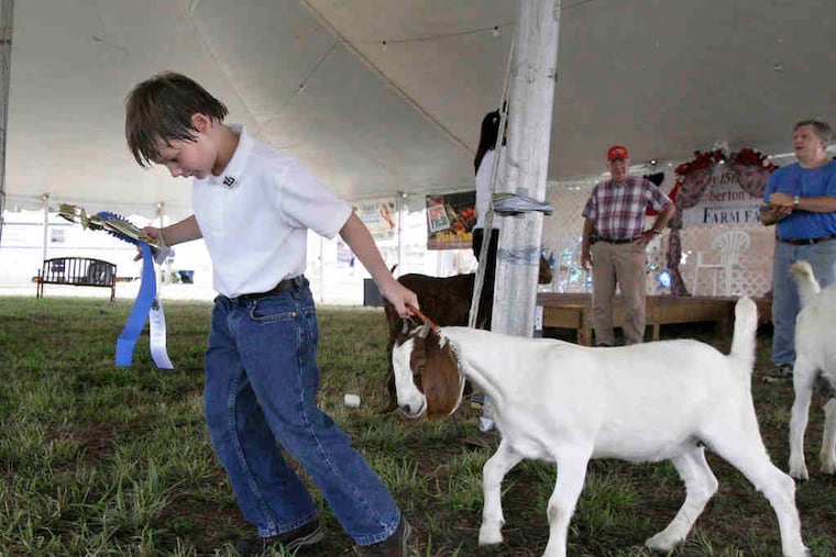 Harrison Layton, 8, of Juliustown, and his 4-month-old boer goat, Mindy, won first place in the animal's breeding category on opening day of the Burlington County Farm Fair in 2010.