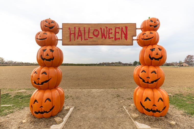 An empty pumpkin field as fall comes to an end and the transition to winter holidays begins at Shady Brook Farms in Yardley, Pa., on Thursday, Nov., 9, 2023.