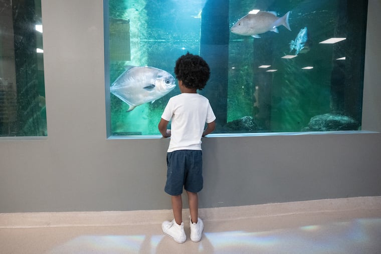 Matthew Watts at the Atlantic City Aquarium, in Atlantic City, NJ, June 3, 2025.
