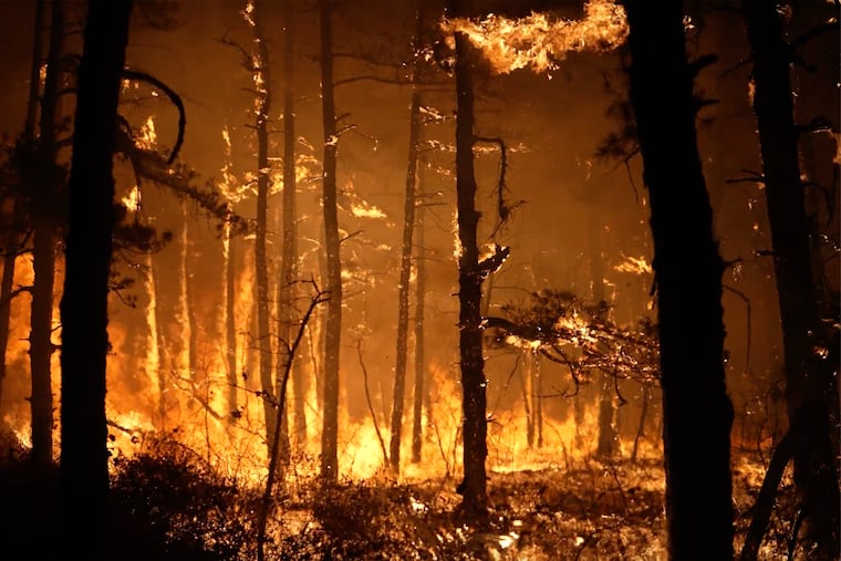 Trees burn from a forest fire on Nov. 6 in Evesham, Burlington County.