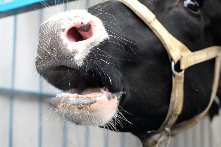 Maid-Rite Specialty Foods of Lackawanna County is accused of putting profits over safety in a Federal complaint. Pictured is a stock image.