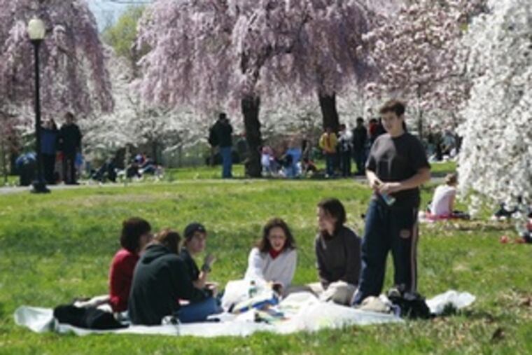 The 11th annual Cherry Blossom Festival brings color to the city and marks a gift of friendship from Japan in 1926. Page 35.