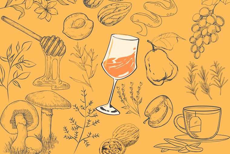 From tea and quince to honey and savory mushroom, orange wines intrigue wine-lovers with an alluring range of flavors.