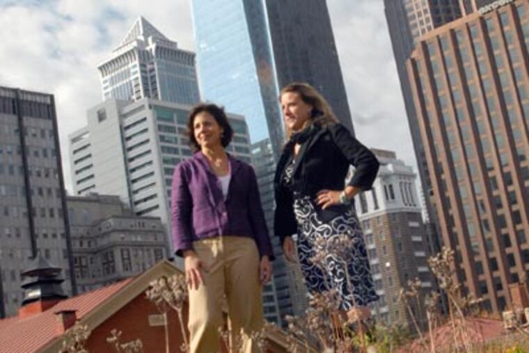 Janet Milkman, left, Delaware Valley Green Building Council's executive director and Heather Shayne Blakeslee, programs and advocacy director, stand on the green roof of the Friends Center at 15th and Cherry. (Ron Tarver/ Staff Photographer)
