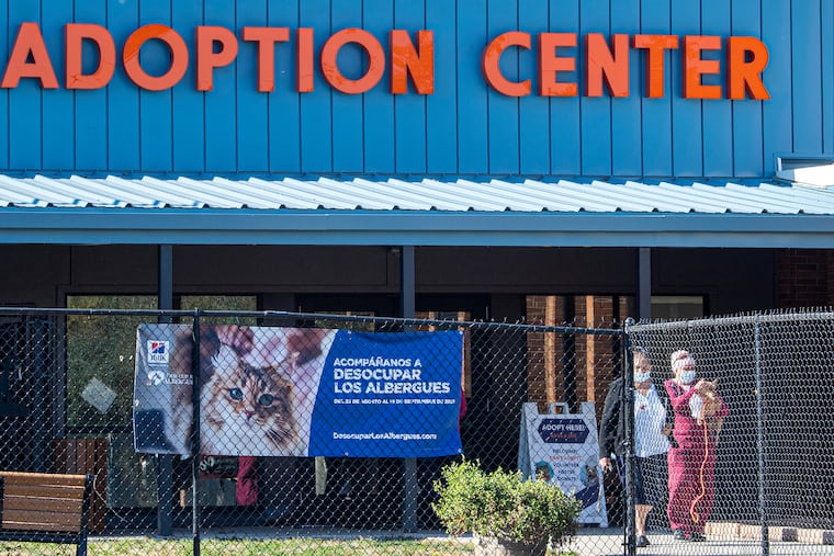 The ACCT Philly animal adoption building.